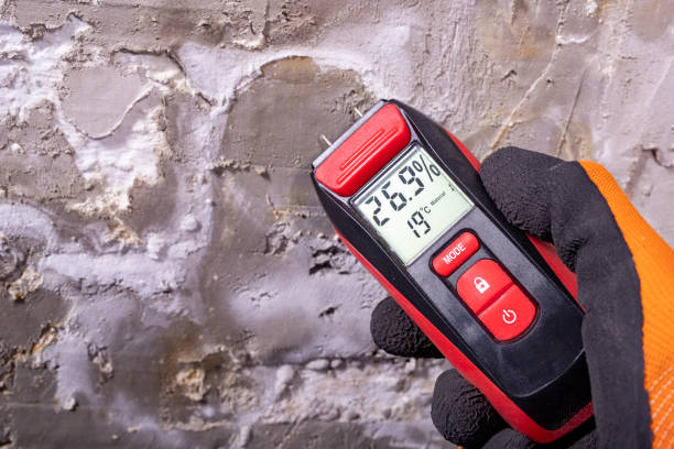 Best Mold Testing and Removal  in Langhorne Manor, PA