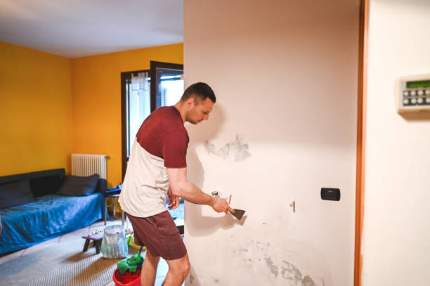 Best Mold Removal Company Near Me  in Langhorne Manor, PA